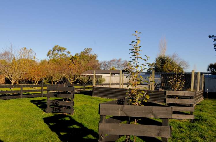249 Pukeuri-Oamaru Road Pukeuri_25