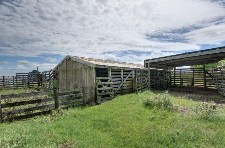 1173 Karahaki Road Waverley_27