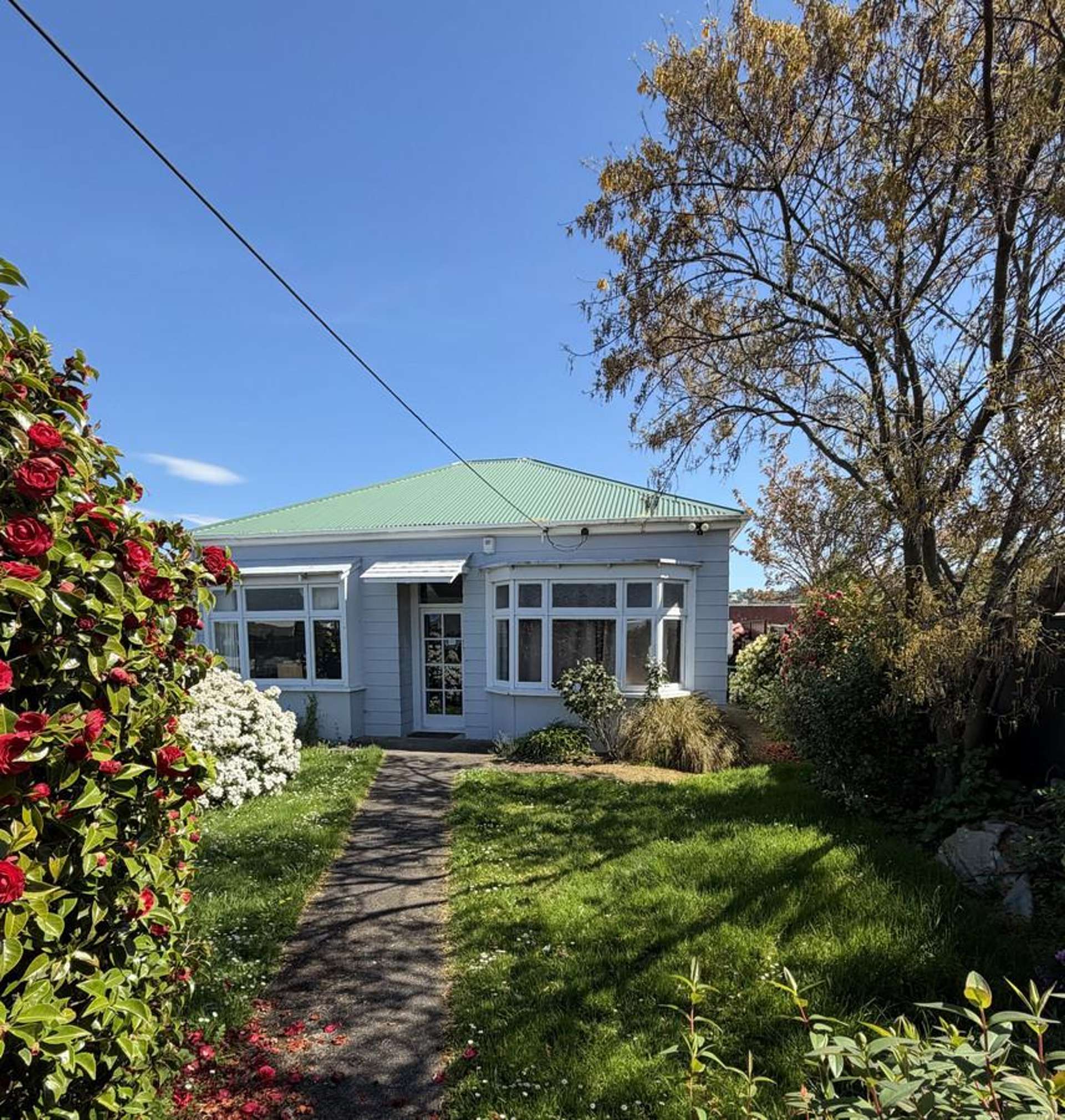 12 Bradshaw Street South Dunedin_0