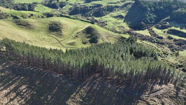 Waireka Road Papaiti_3