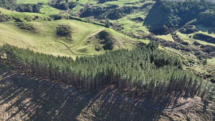 Waireka Road Papaiti_3