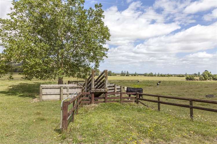 496 Rotokohu Road Paeroa_38