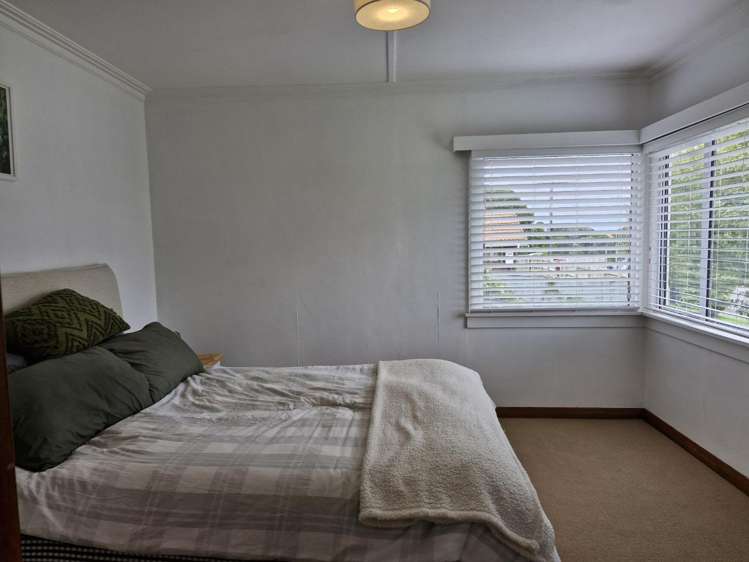 11A Selwyn Street Vogeltown_9