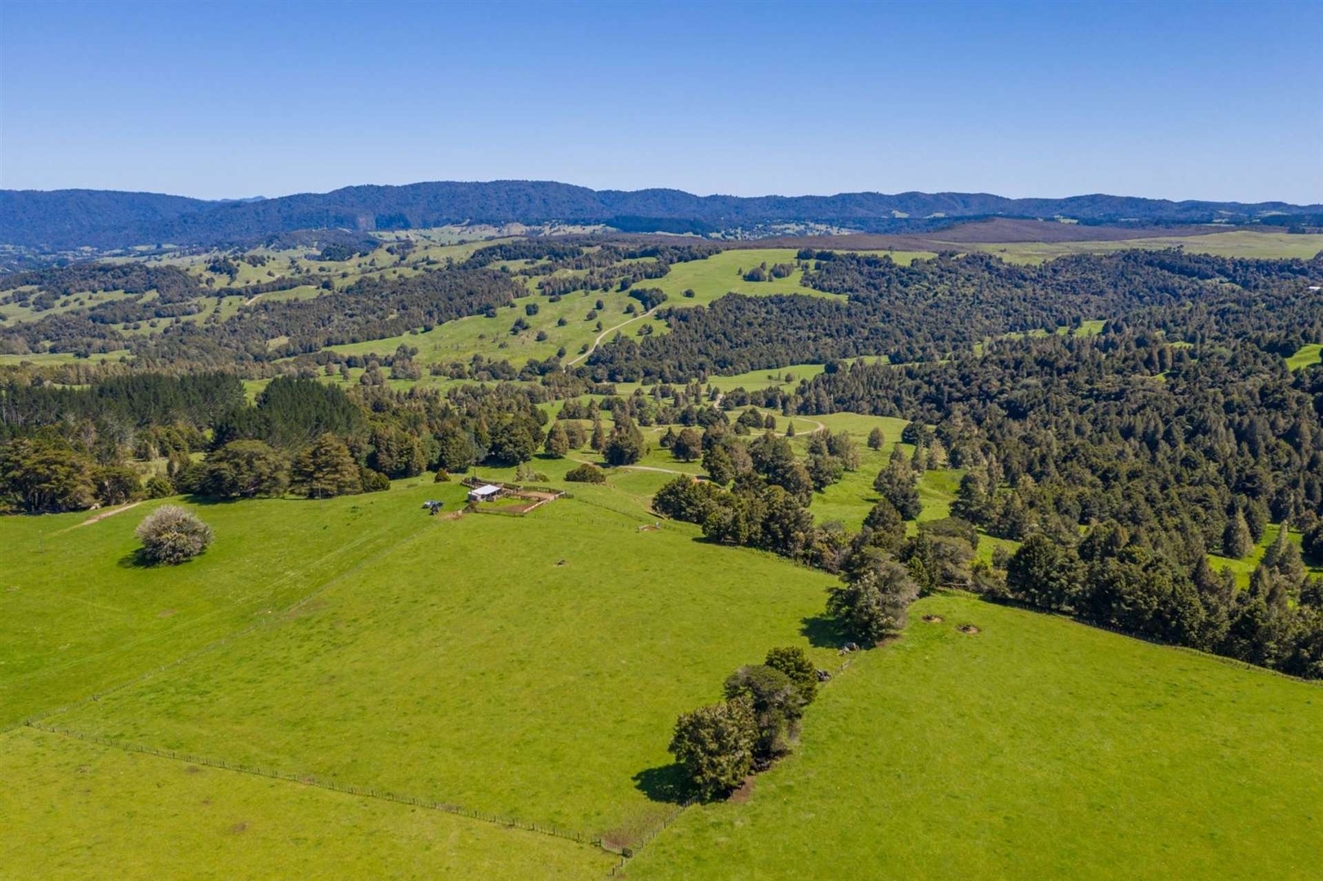 Waiare Road Okaihau Far North Houses for Sale One Roof