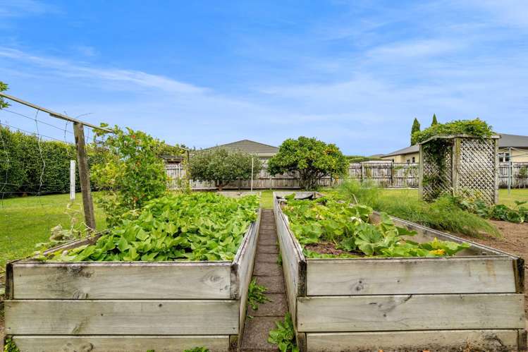 39 Lismore Street Strandon_17