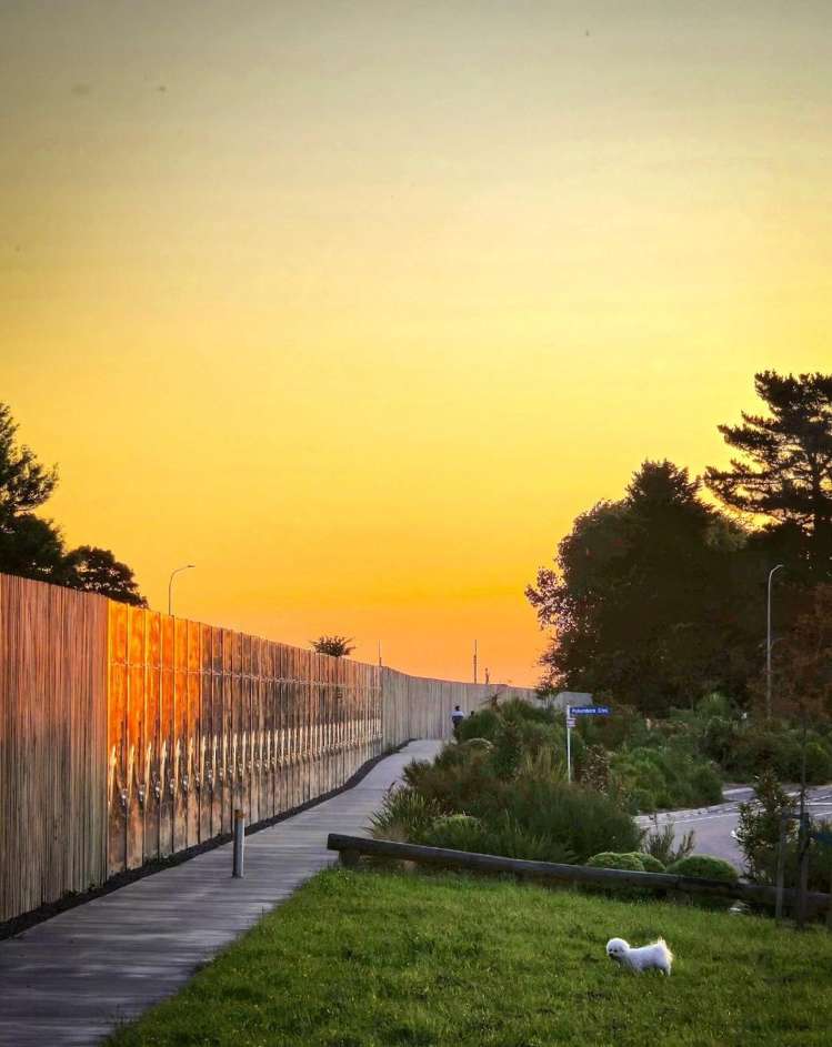 11 Pokerekere Crescent Kelvin Grove_7