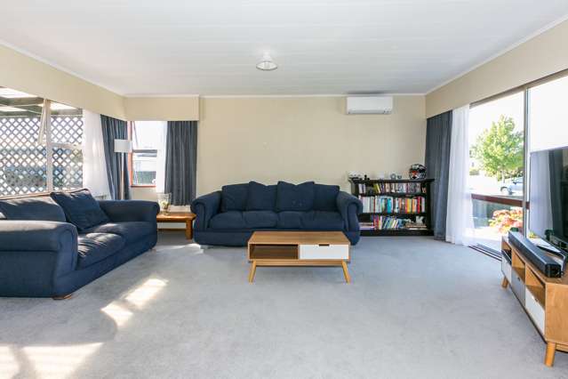 12 Lyttelton Crescent Tamatea_1