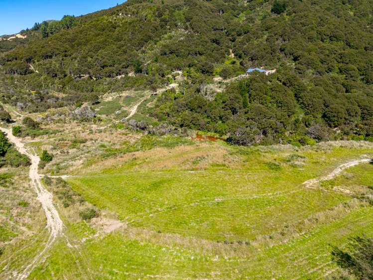 Mclaughlin Drive Tinui_11