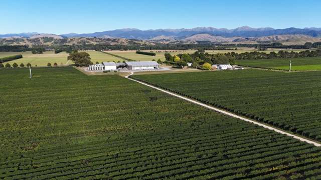 286 Paierau Road, Opaki Masterton_2