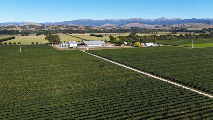 286 Paierau Road, Opaki Masterton_2