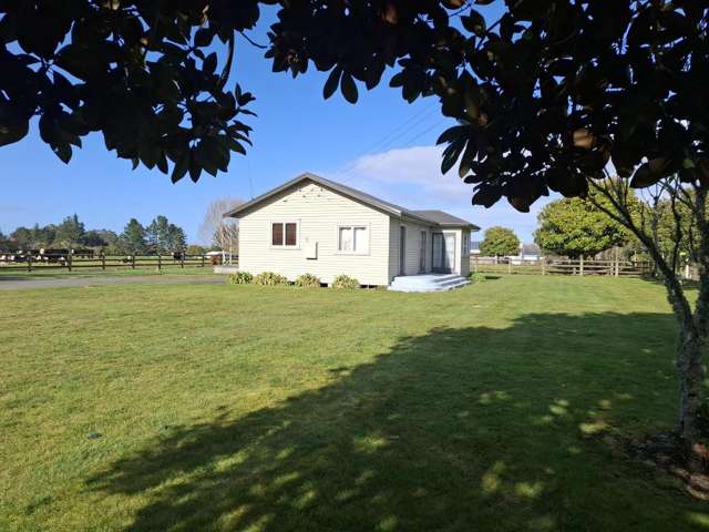 446 Morrinsville Road 1076_3