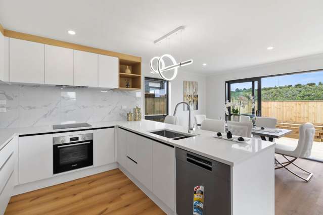 117 John Main Drive Ramarama_2