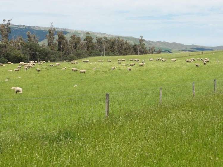 573 Glenmark Drive Waipara_11