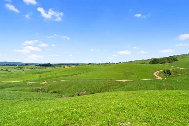 258 Paratu West Road Richmond Downs_42