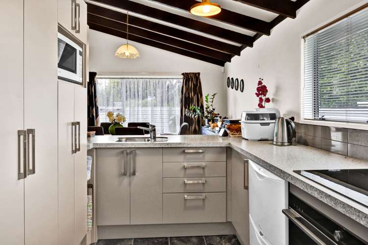 7 Von Tempsky Street Normanby_6