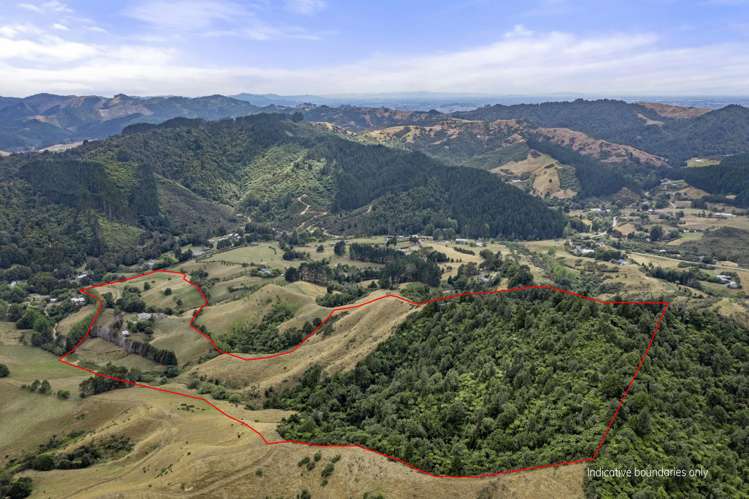 1007 Old Mountain Road Raglan_7