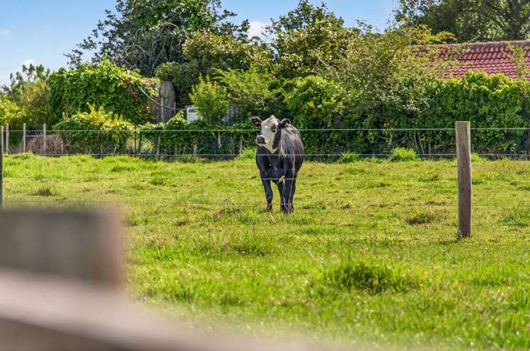 5 Davies Road Ramarama_28