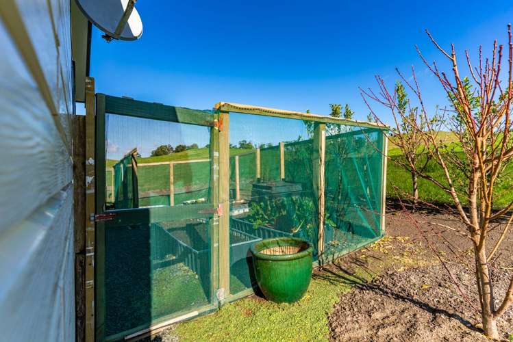 264 Bee Bush Road Dargaville_22