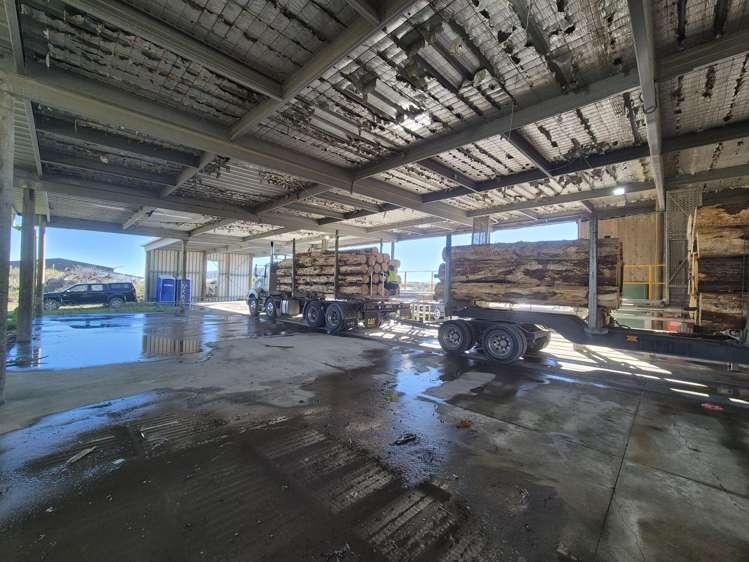 16 Roe Street Levin_6