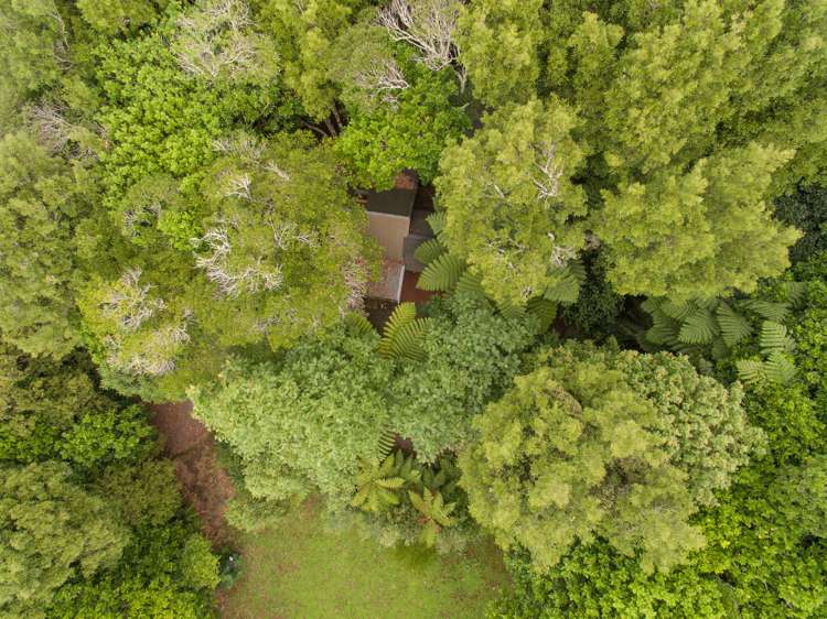 23b Kakariki Grove Waikanae_17