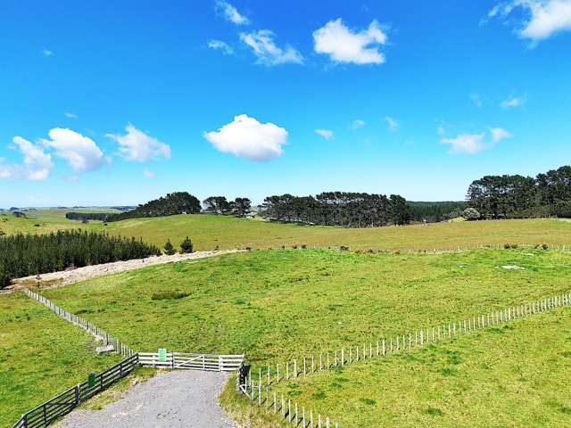 Babylon Coast Road Dargaville_3
