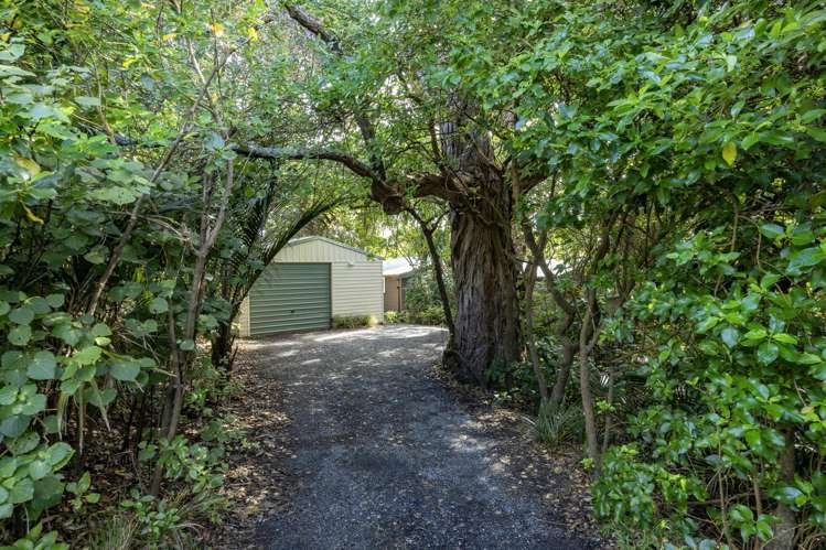 63 Seaview Road Piha_23