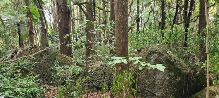 729 Otaika Valley Road Maungatapere_11