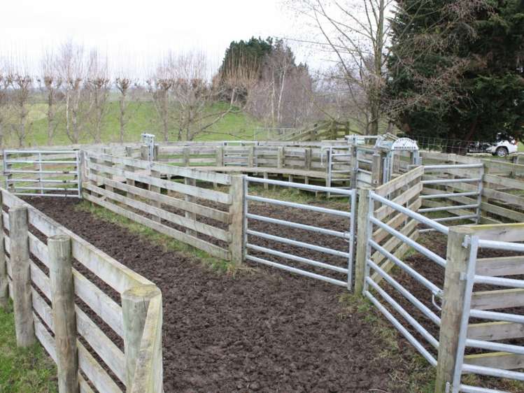 217 Pleasant Point Highway Levels_5