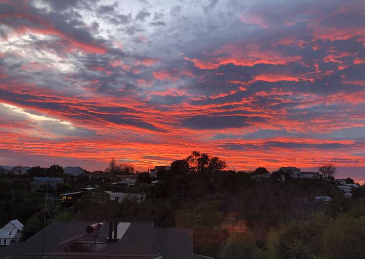 1 Coleman Terrace Hospital Hill_19