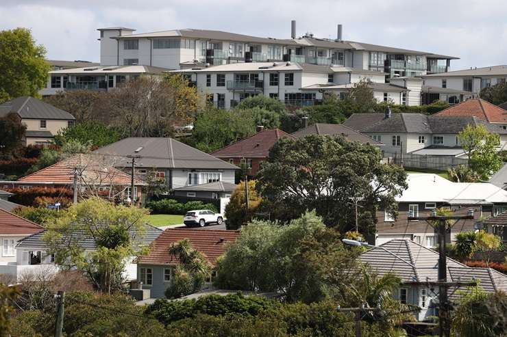 The Kāinga Ora properties on Puroto Street, in Auckland’s Meadowbank, were pitched to developers and land-bankers. Photo / Supplied