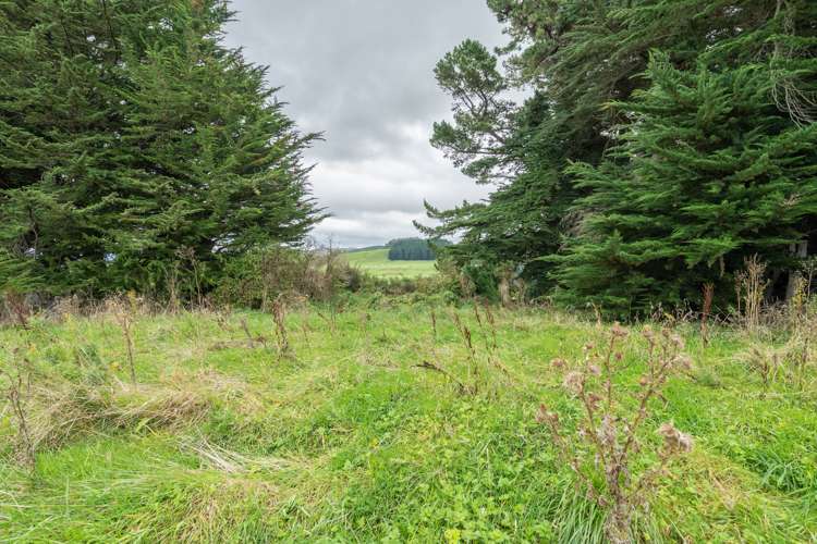 137 Main Street Wairio_16