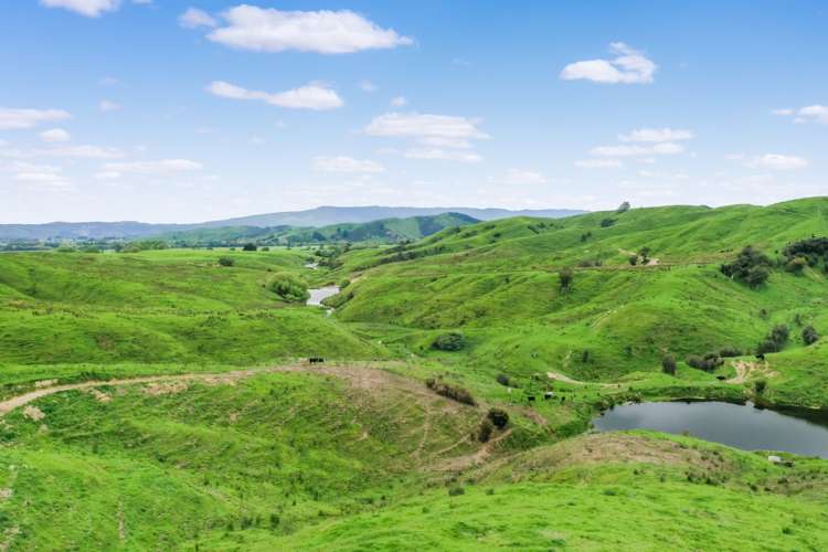 Thompsons Road Pahiatua_3