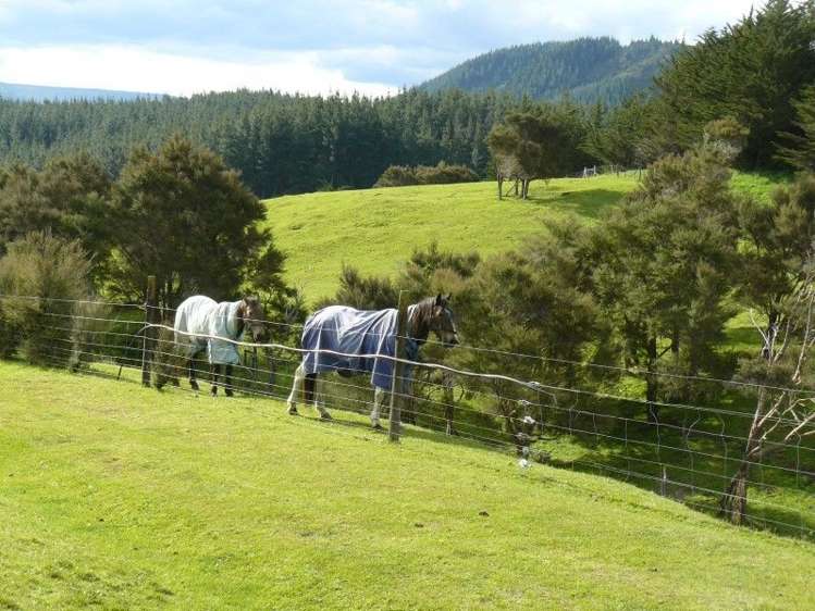 1098 Glenross Road Waiwhare_10