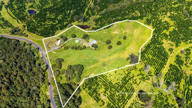 386 Pawarenga Road Broadwood_1