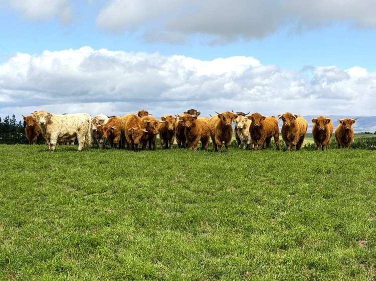 Bypass Road Ranfurly_13