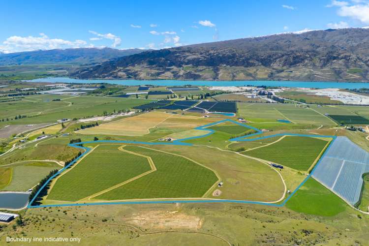 1005 Luggate-Cromwell Road Mount Pisa_36