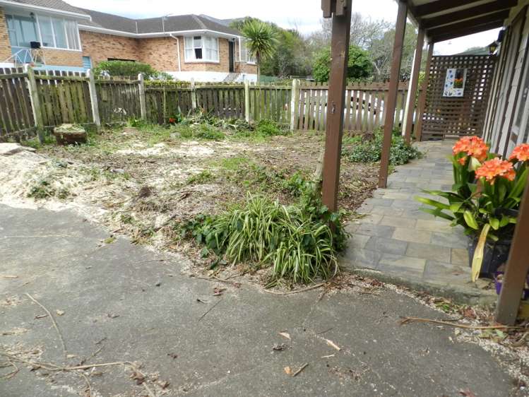 41b Turama Road Royal Oak_2