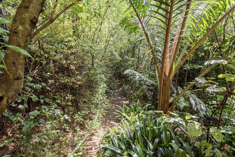 38 Our Road Whangarei Heads_6