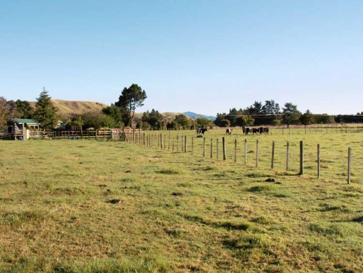 714 Chester Road Carterton_19