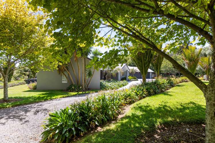 187 Te Arei Road East Huirangi_35