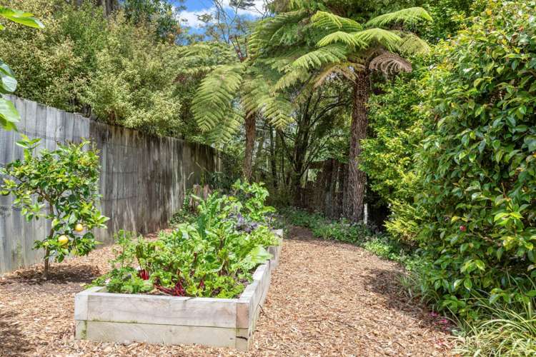 5 Alison Avenue Herald Island_20