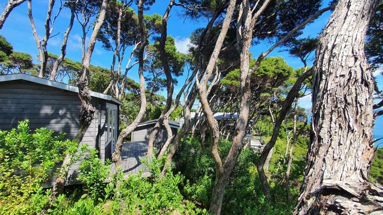 Lot 171/DP6849 North Cove Kawau Island_37