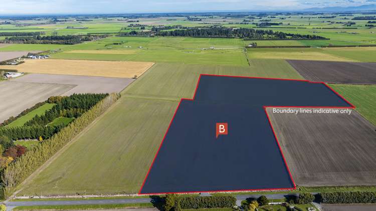 (10ha) Prossers Road Leeston_1