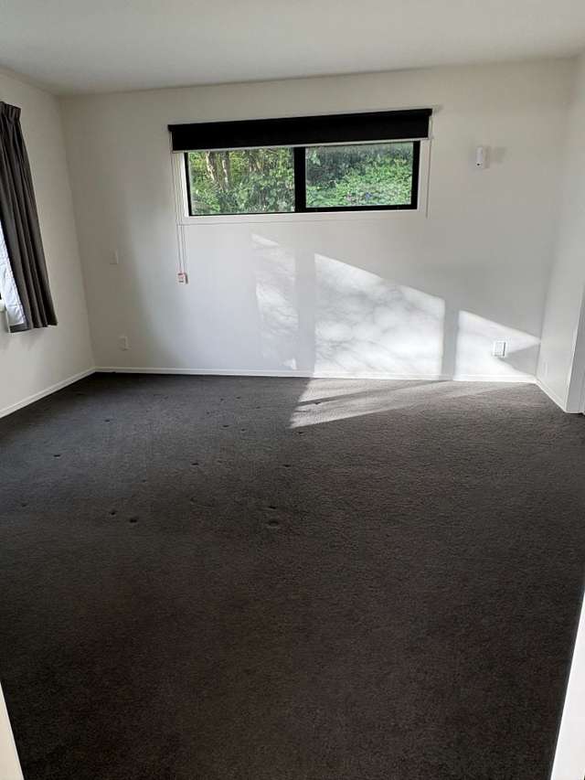 54B Rodrigo Road Kilbirnie_4