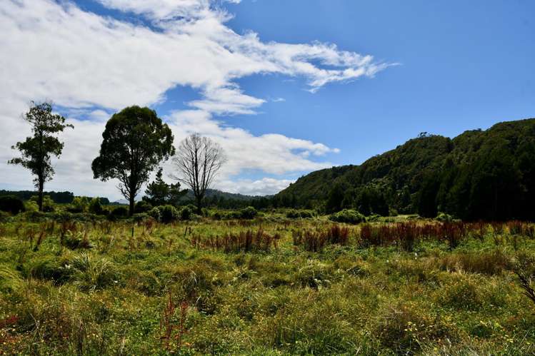 1/Lot 1 Kongahu Road Little Wanganui_17