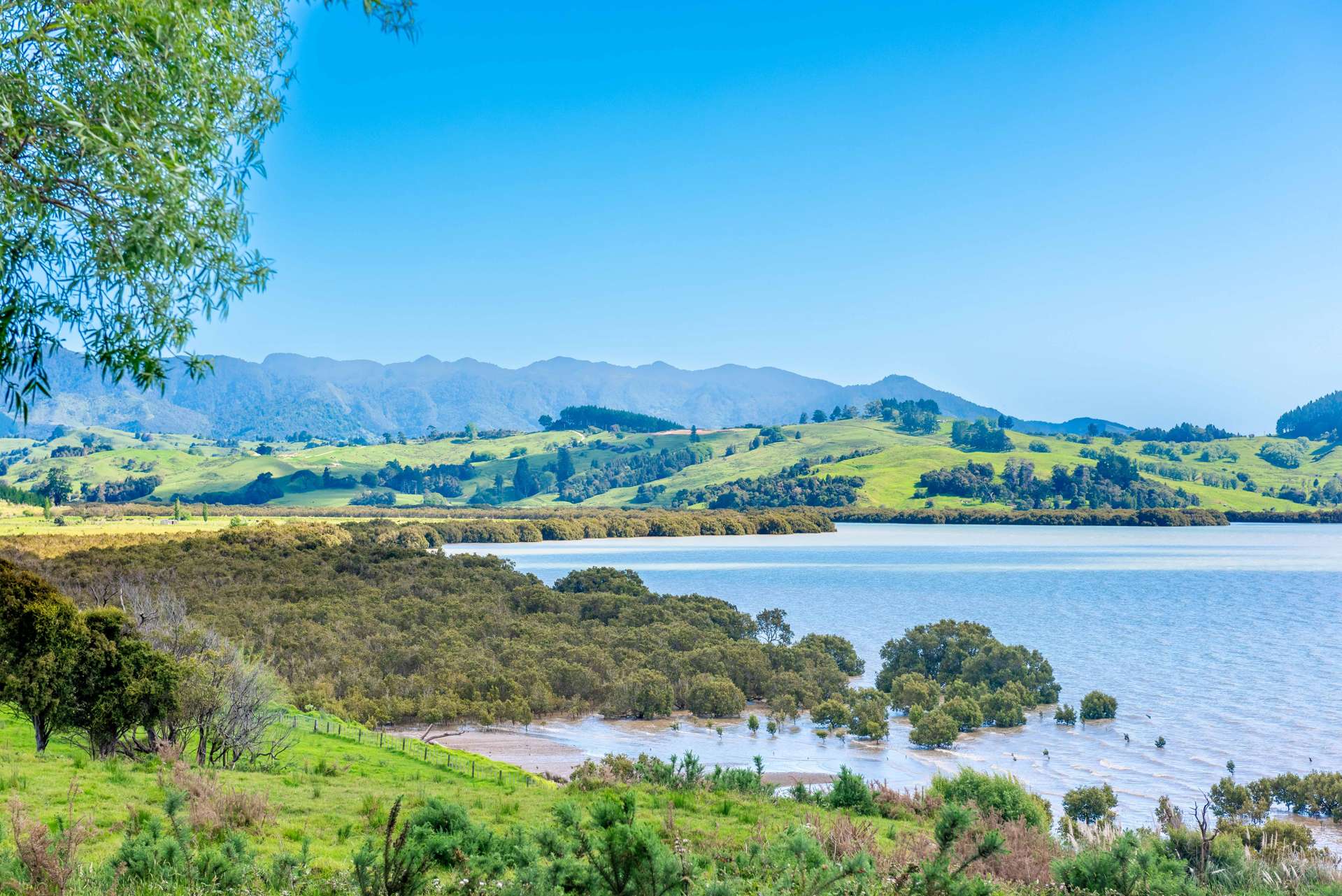 13 Cochrane Street Rawene_0