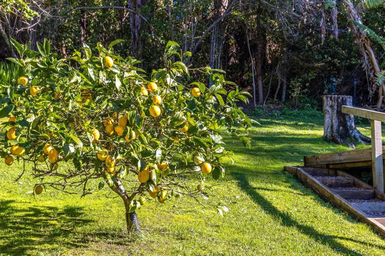 49 Te Toki Road Ostend_18