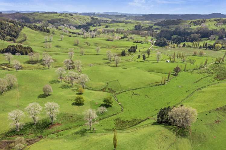 1741 Tikitiki Road Te Kuiti_21