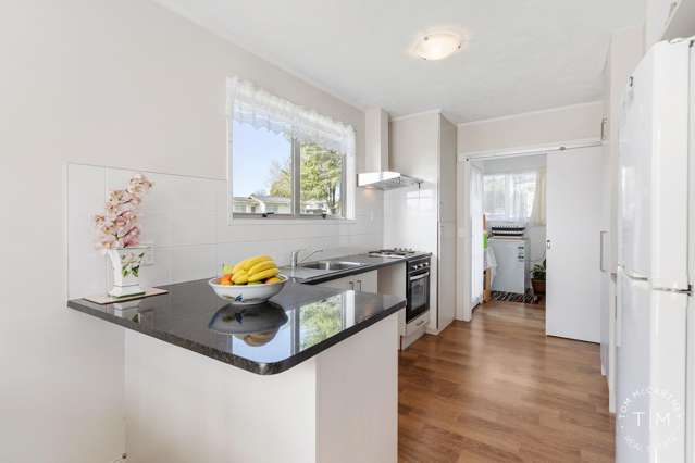 13 Pallant Street Manurewa_1