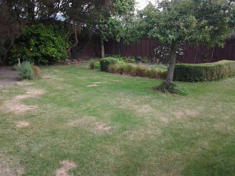 23 Middlepark Road Sockburn_2